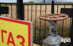 Евродепутаты предлагают отказаться от импорта российского газа на год раньше запланированного