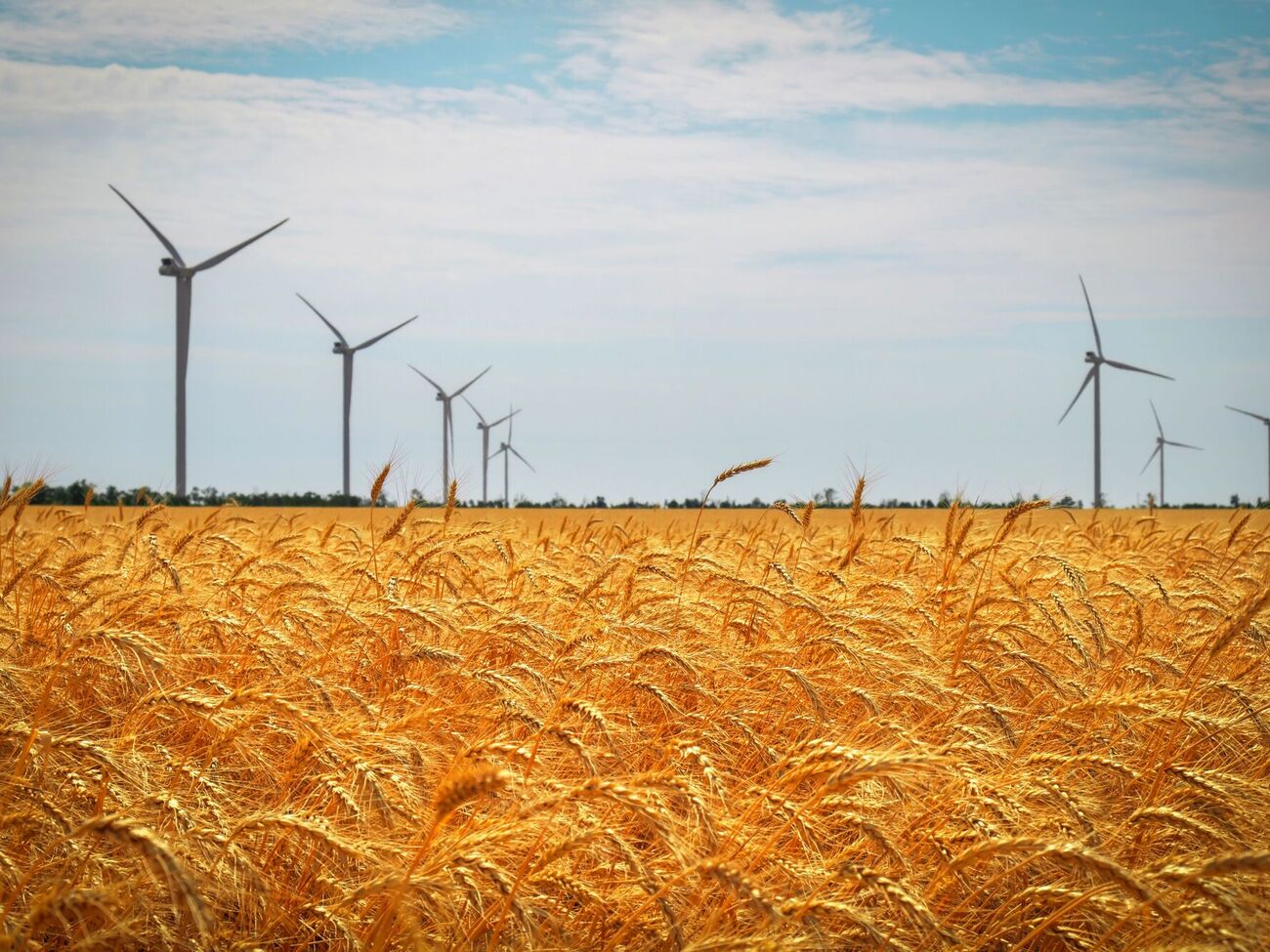 Наибольший долг остается по итогам 2022 года – уплачено всего 65,5% средств