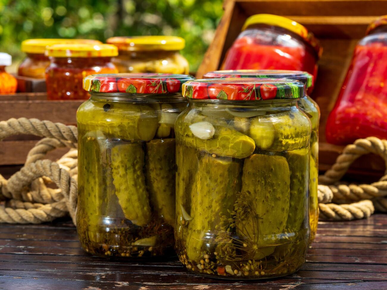 Тархун придаст огурцам очень интересный вкус