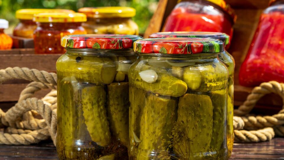 Тархун придаст огурцам очень интересный вкус