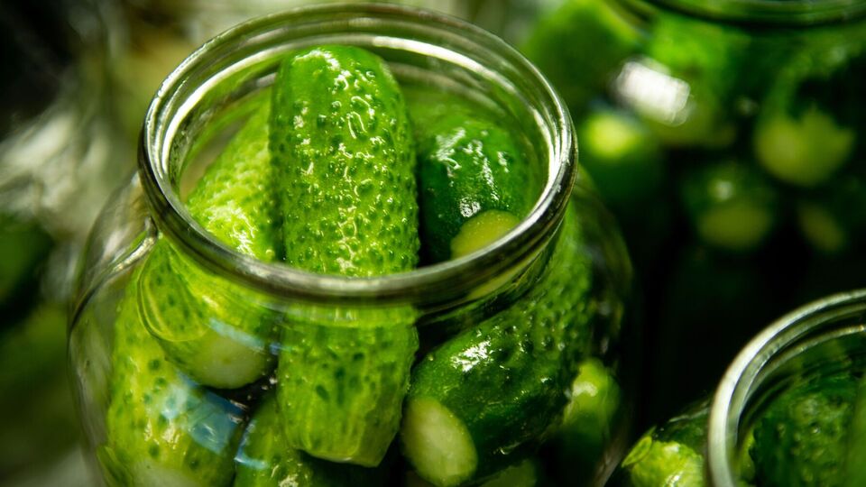 Это самый легкий способ сделать малосольные огурцы