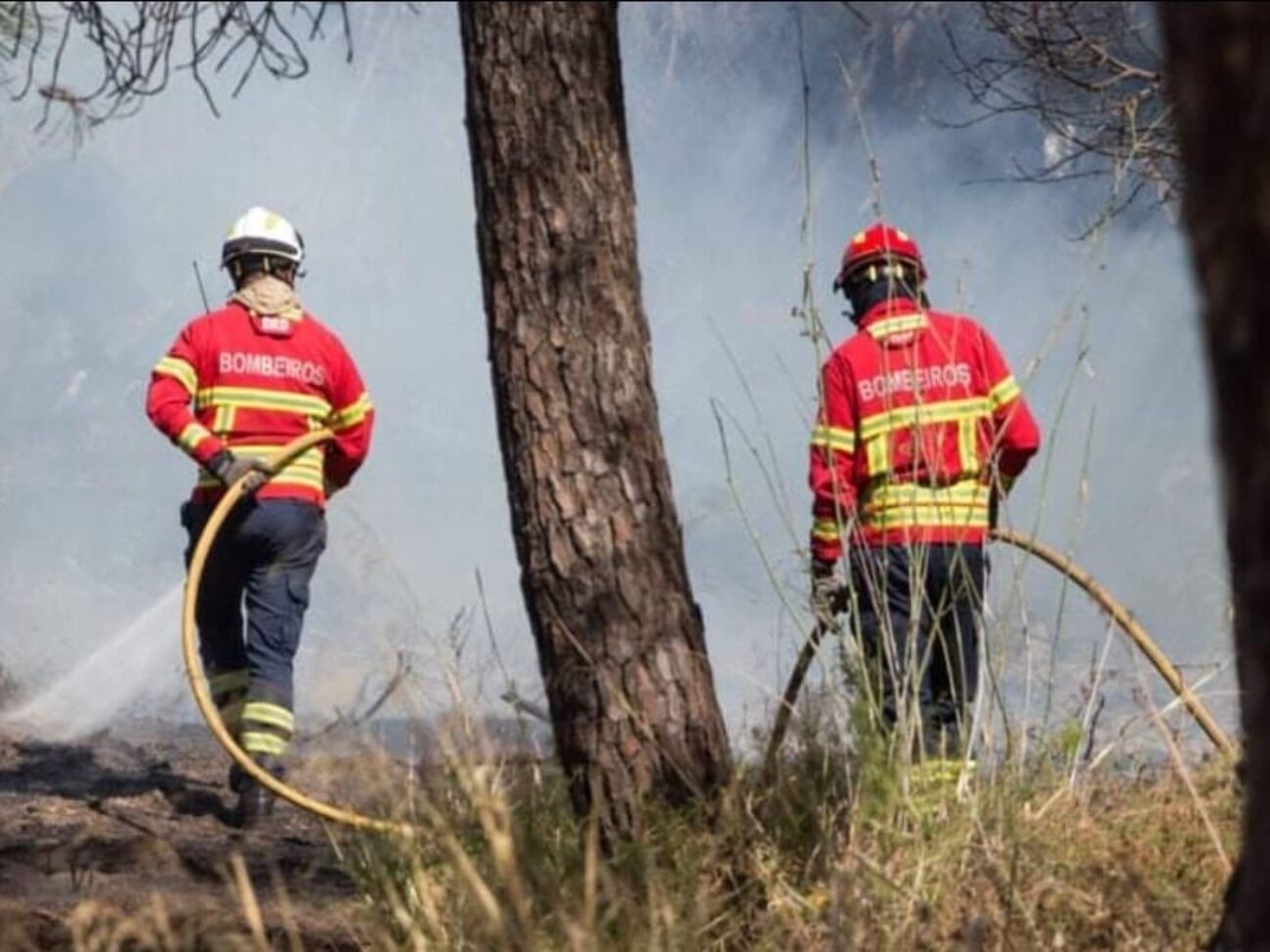 Португальские власти объявили на большей части страны режим повышенной пожарной готовности