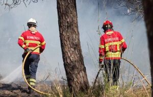 Португальские власти объявили на большей части страны режим повышенной пожарной готовности
