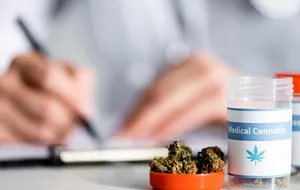 Минздрав расширил перечень дозировок лекарств из каннабиса, производимых в аптеках