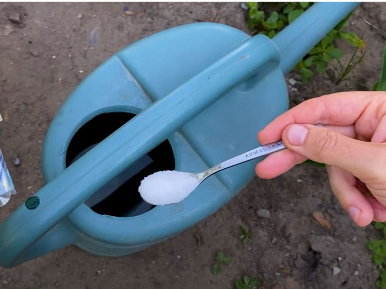 10 л подкормки хватает примерно на 2 м² свеклы