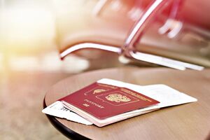 Литовські правоохоронці проводять перевірки ще 30 росіян