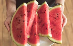 Сезон баштанних розпочався приблизно в ті самі терміни, що й рік тому