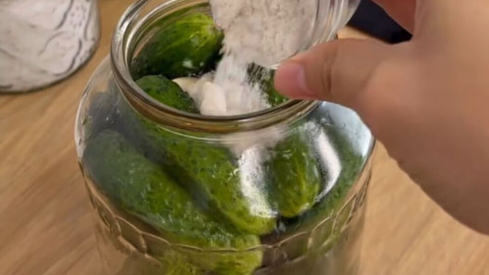 Огірки за цим рецептом можна їсти вже за добу