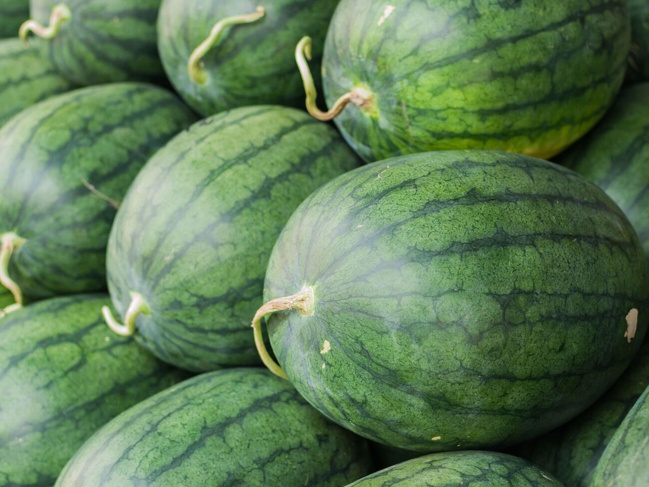 От употребления некоторых арбузов нужно категорически отказаться