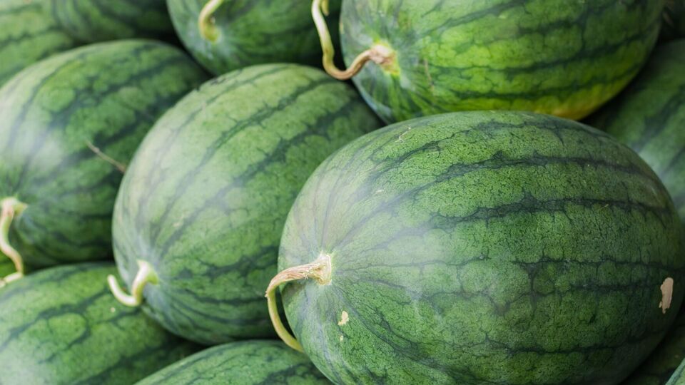 От употребления некоторых арбузов нужно категорически отказаться