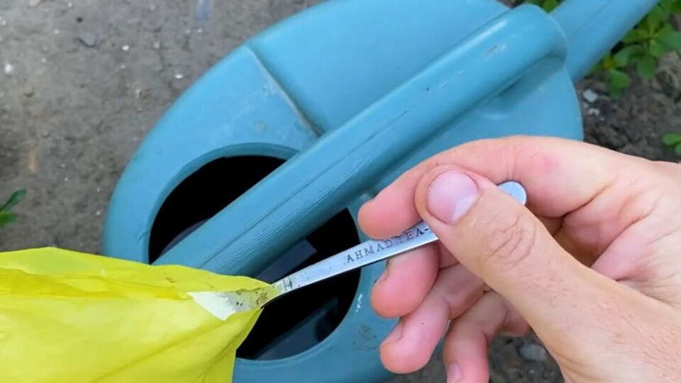 Лук в июле нужно подкормить монофосфатом калия