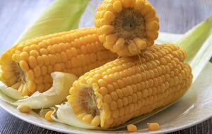 Блогер порадив готувати кукурудзу в мікрохвильовці