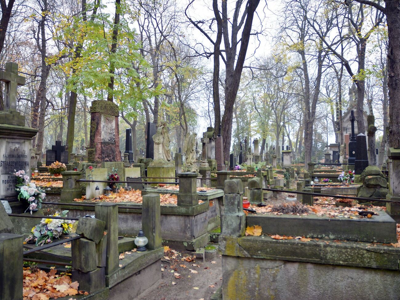 Блогер відвідав могилу письменниці Забіли в Києві