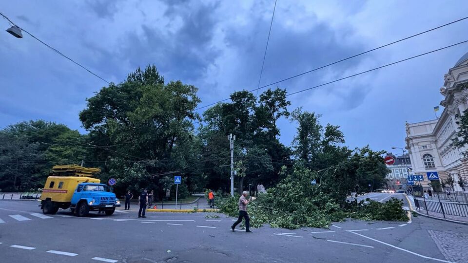 В разных районах Львова повреждены 33 дерева