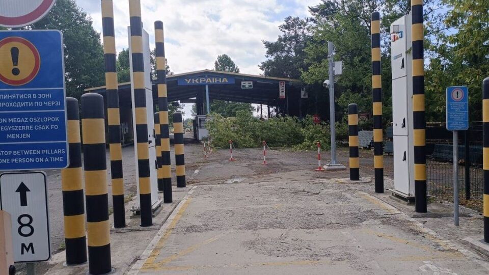 Поваленные деревья в пункте пропуска "Дзвінкове – Лонья", что на границе с Венгрией