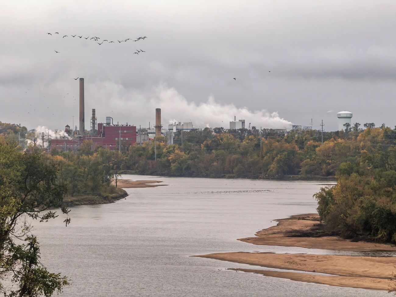 Цыганок: Обратиться как представитель государства Украина должно именно правительство