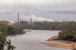 Цыганок: Обратиться как представитель государства Украина должно именно правительство