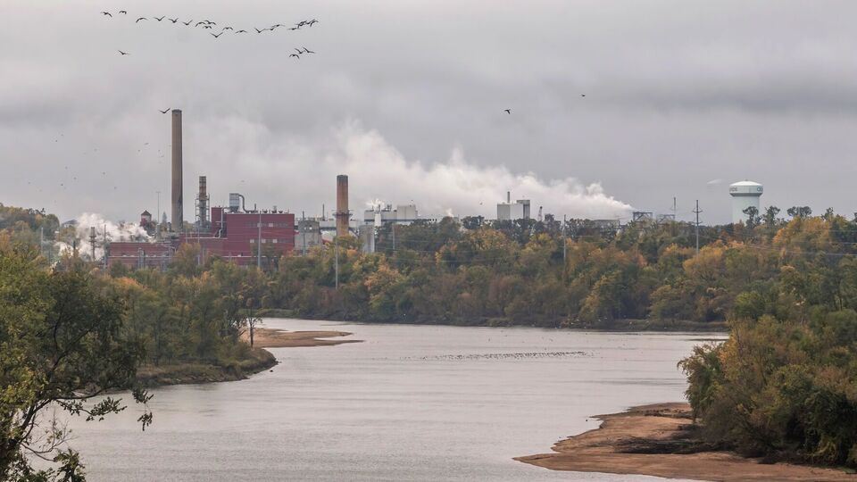 Цыганок: Обратиться как представитель государства Украина должно именно правительство