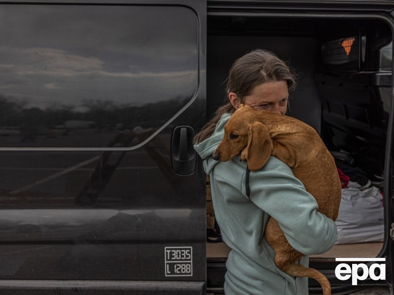 Собак 10–45 кг пустять у салон