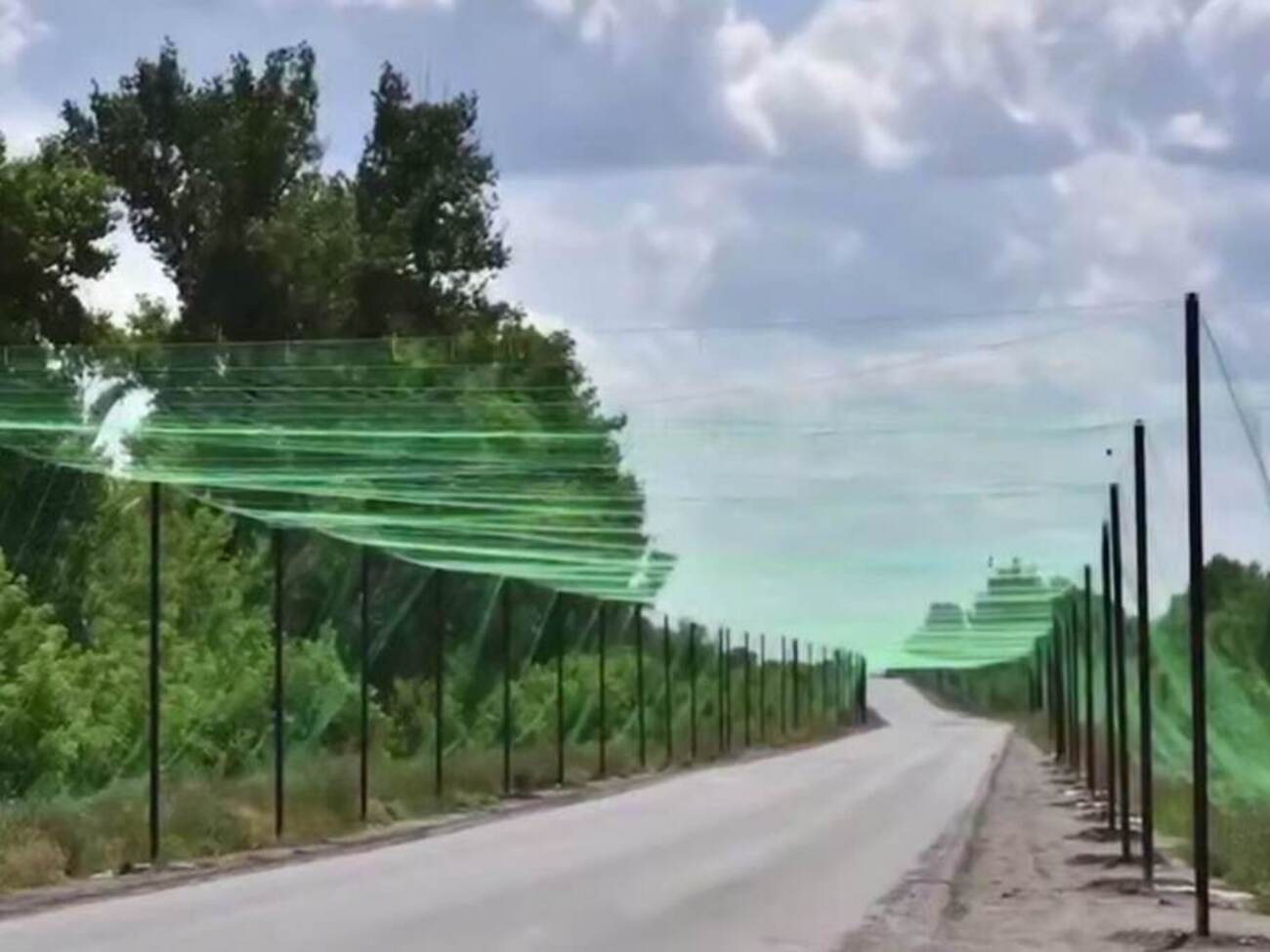 Сети устанавливают по всей линии фронта