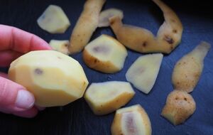 Запобігати фітофторі на картоплі треба ще з весни