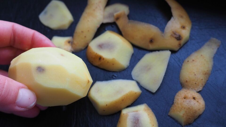 Предотвращать появление фитофторы на картофеле нужно еще с весны