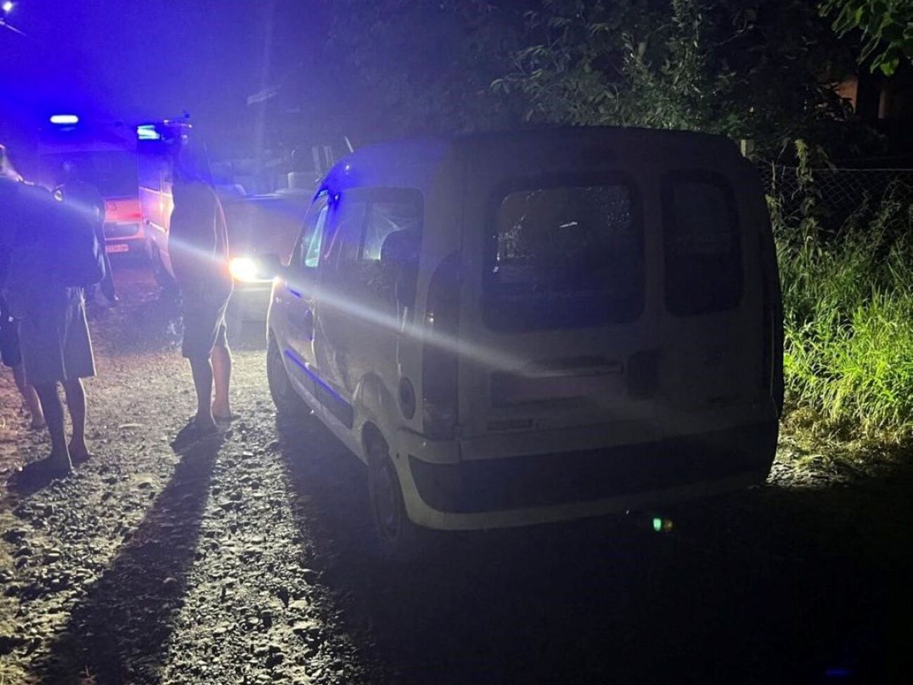 По данным полиции, в автомобиль стреляли из пневматического пистолета