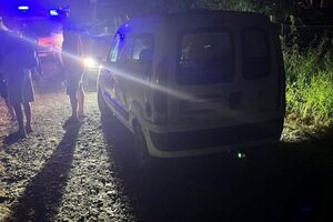 По данным полиции, в автомобиль стреляли из пневматического пистолета