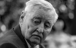 Поклад последние дни провел дома в Ворзеле