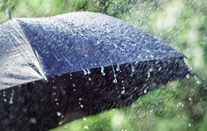 Синоптики рассказали, где пройдут дожди