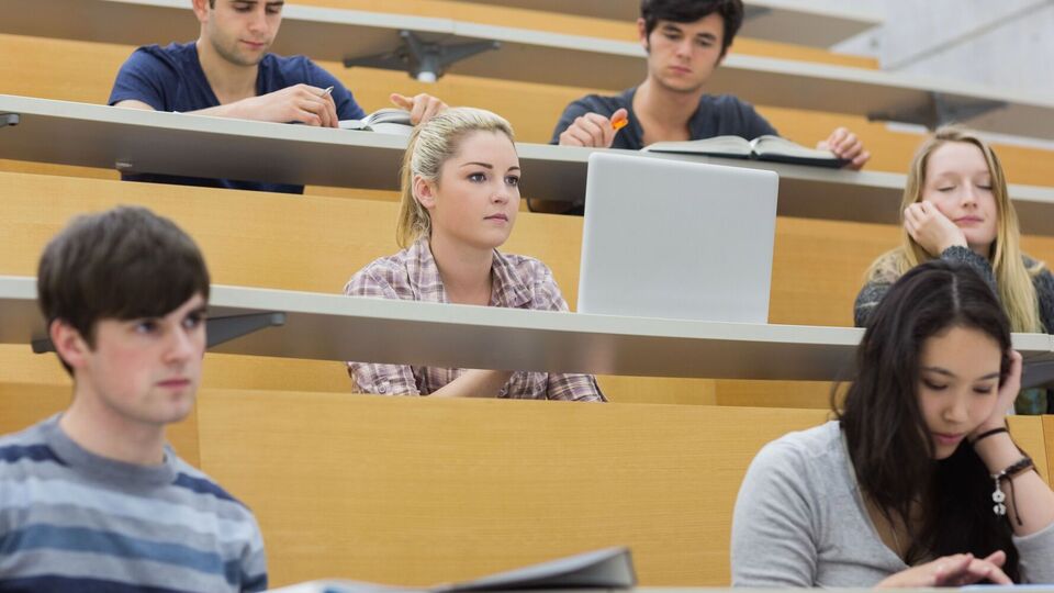 Нардеп назвал самые популярные специальности в вузах