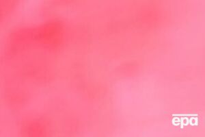 Сталлоне родился 6 июля 1946 года в Нью-Йорке