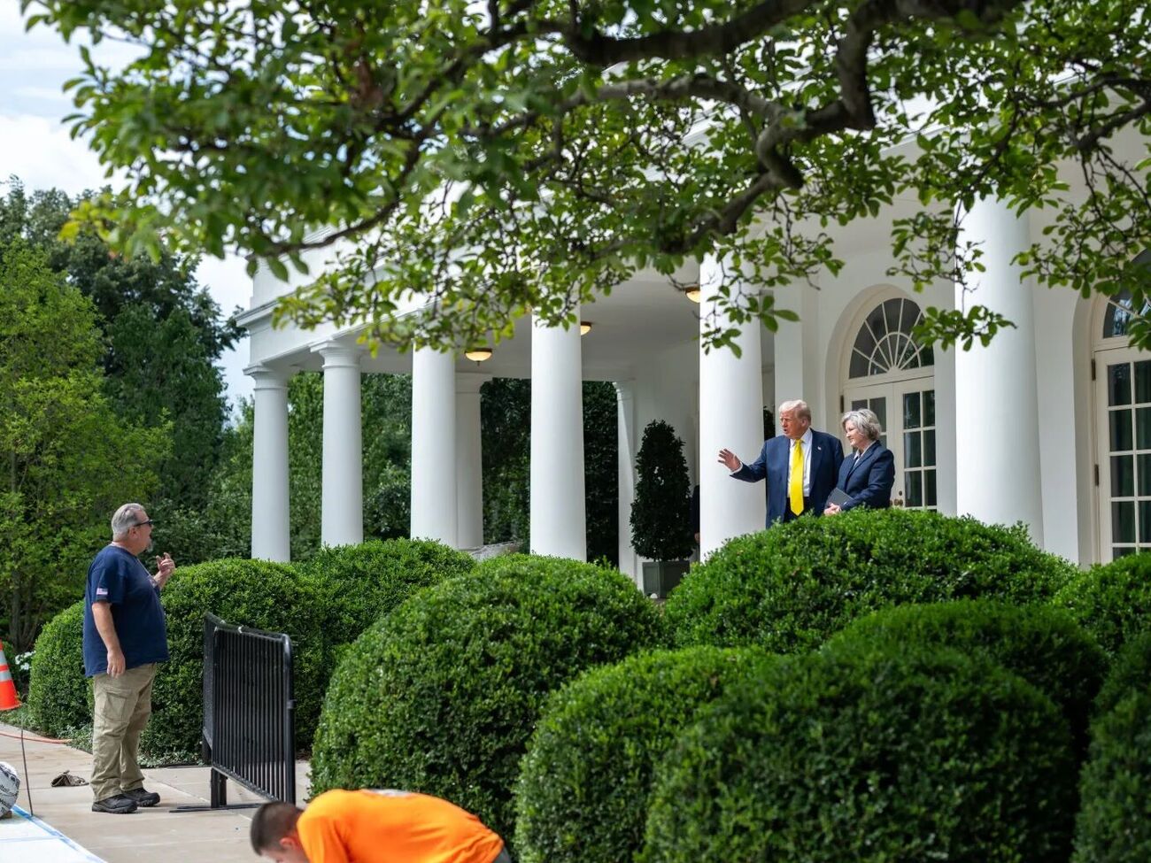 Трамп говорит, что разбирается в строительстве