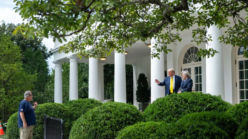 Трамп говорит, что разбирается в строительстве