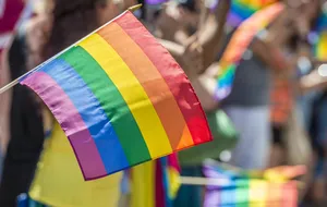 Швеция будет следить за правовой защитой ЛГБТ-представителей в Украине, заявил премьер страны