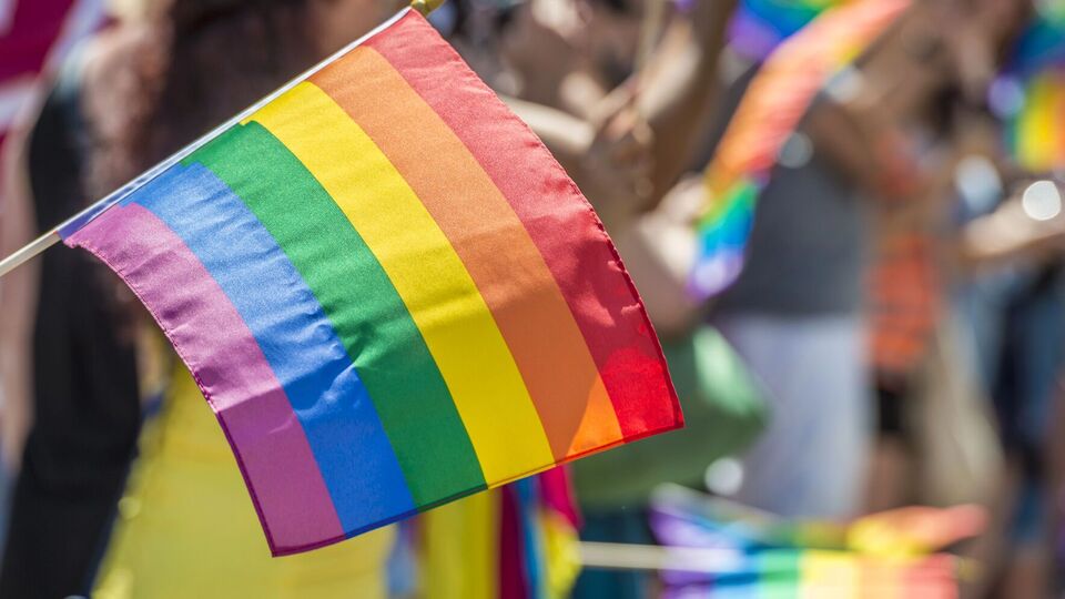 Швеция будет следить за правовой защитой ЛГБТ-представителей в Украине, заявил премьер страны