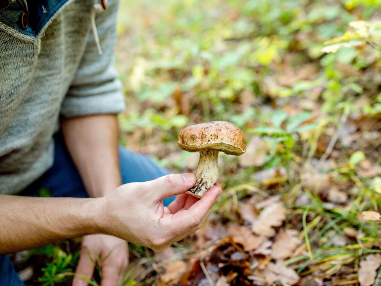 Експерти закликали не займатися самолікуванням