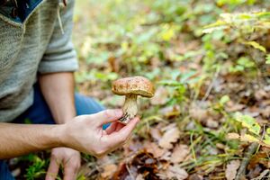Эксперты призвали не заниматься самолечением