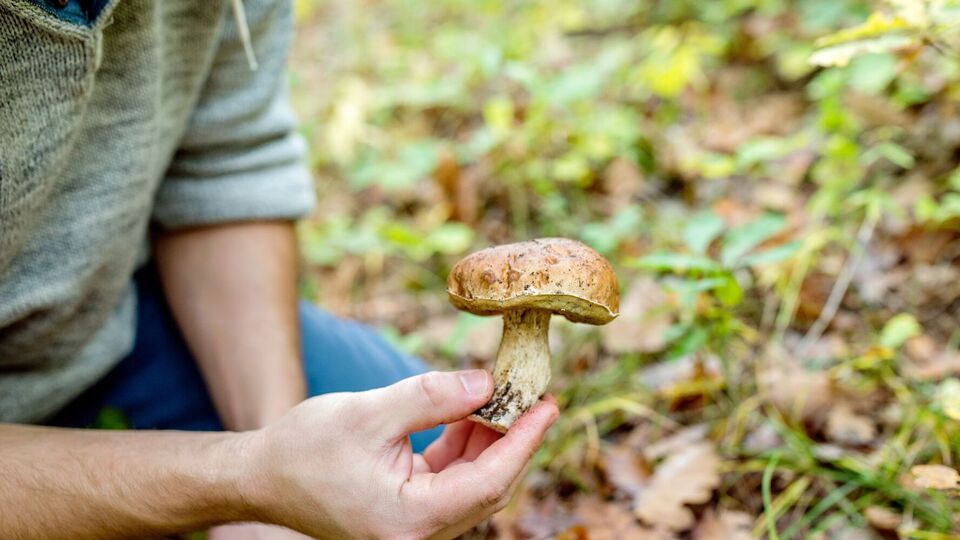 Эксперты призвали не заниматься самолечением