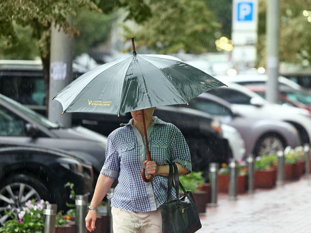 Синоптики обещают кратковременные дожди