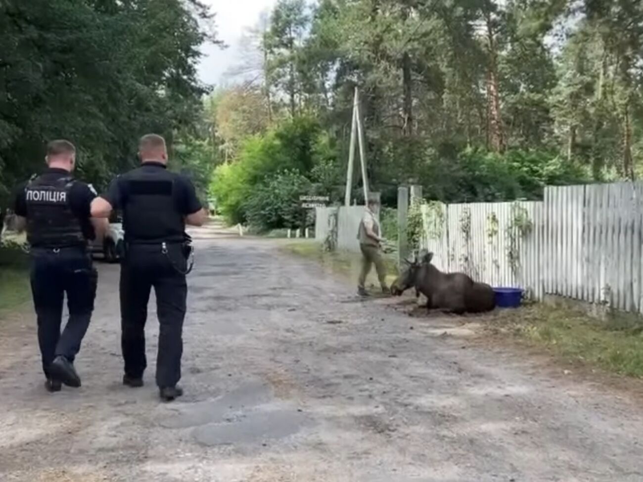 Инцидент произошел в Деснянском районе Киева