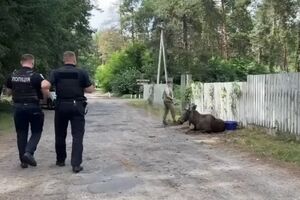 Инцидент произошел в Деснянском районе Киева
