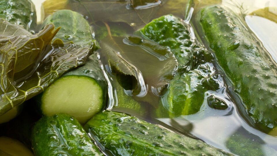 Огурцы получатся вкусными за считанные минуты