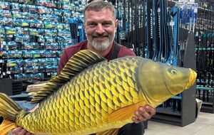 Діанов про "Холостяка": Я зробив краще і просто туди не пішов, і все