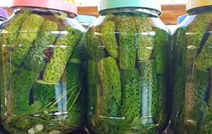 Огурцы по этому рецепту получаются твердые и хрустящие