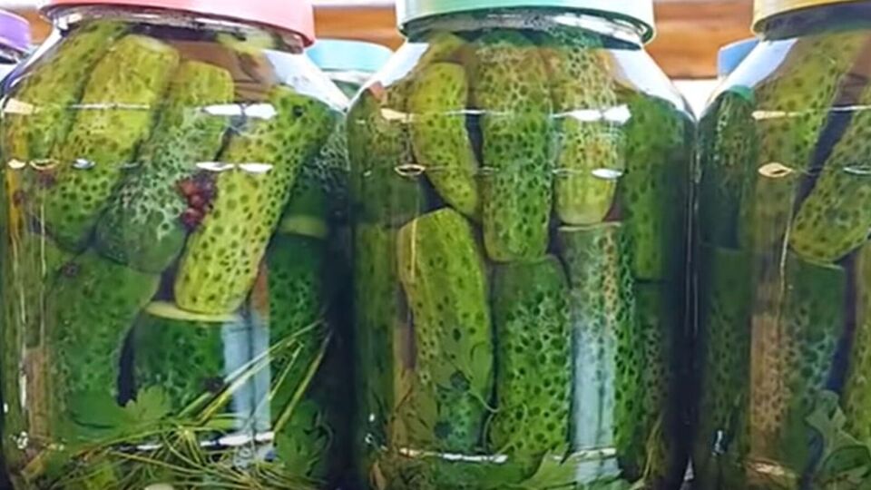 Огірки за цим рецептом виходять твердими і хрусткими