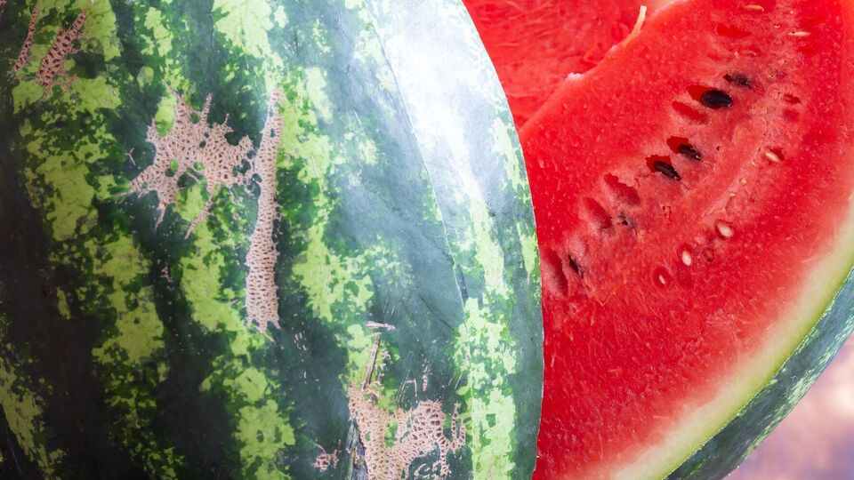 О спелости арбуза также говорит звонкий звук при постукивании