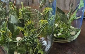 Огурцы по этому рецепту будут готовы через три дня