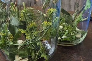 Огурцы по этому рецепту будут готовы через три дня