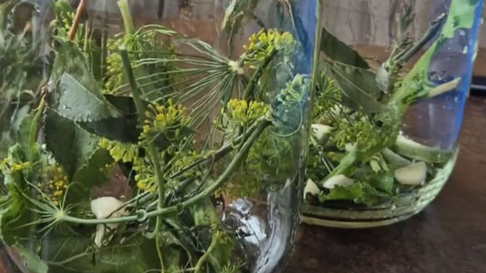 Огірки за цим рецептом будуть готові за три дні